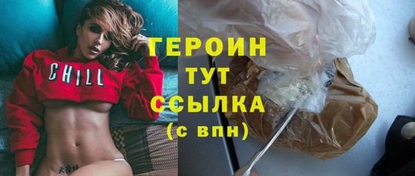 индика Арсеньев