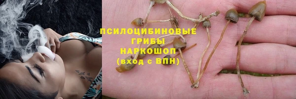 спиды Аркадак