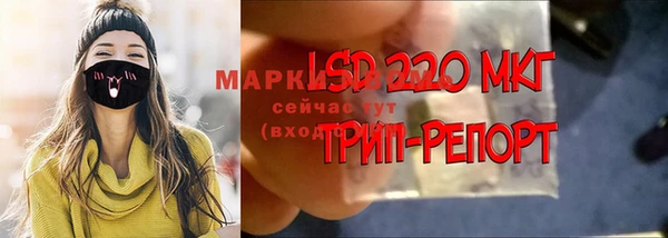 индика Арсеньев