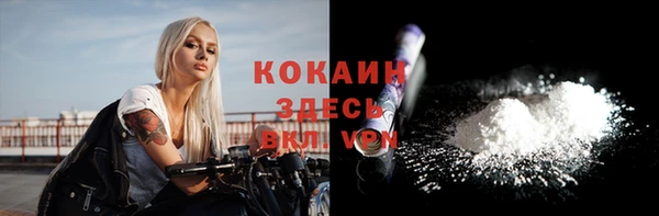 индика Арсеньев
