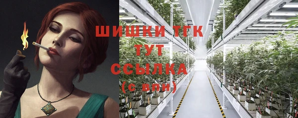 индика Арсеньев