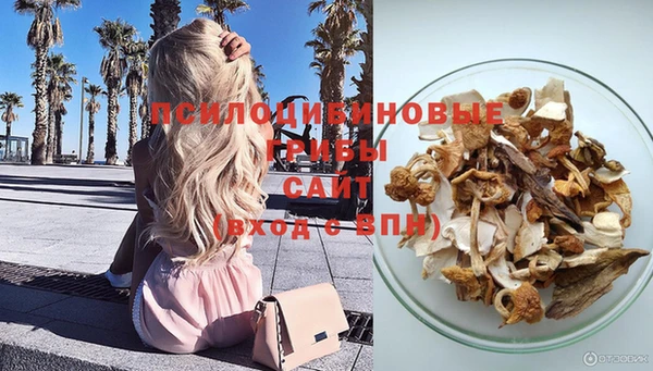 ALPHA PVP Богданович