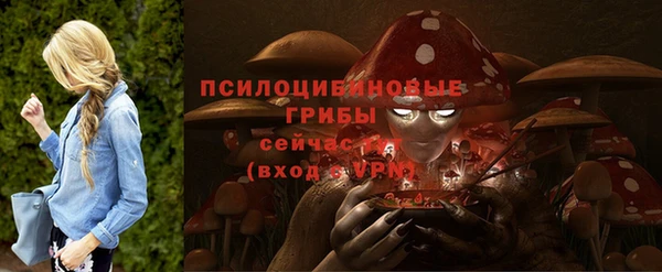 спиды Аркадак