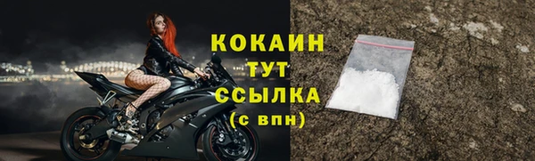 индика Арсеньев
