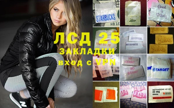 индика Арсеньев