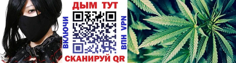 где купить наркотик  Чудово  Канабис MAZAR 